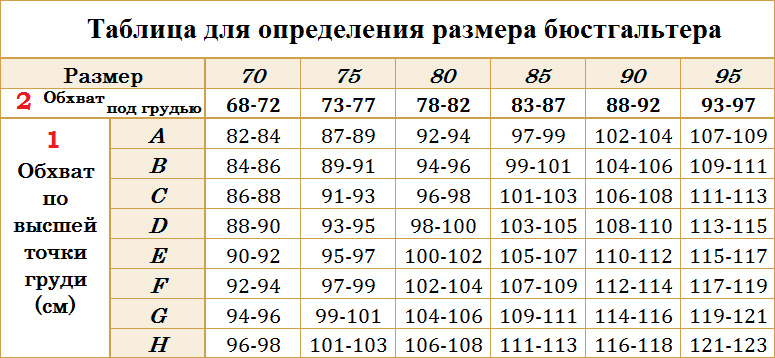 Фото Женских Бюстгальтеров